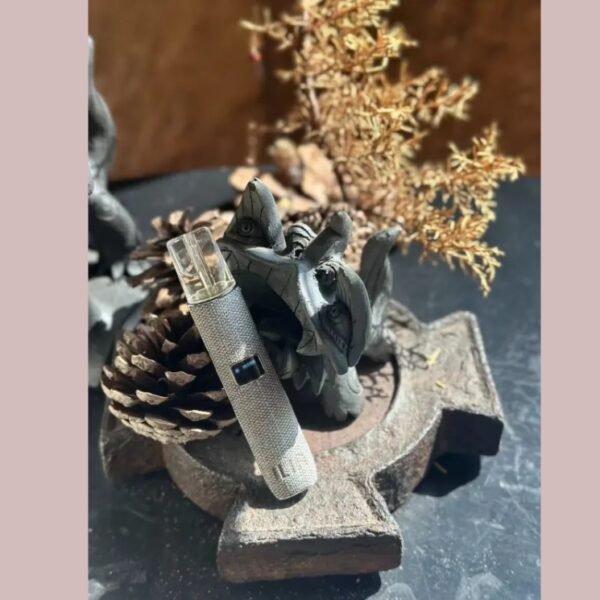 ILIA哩啞皮革主機❤️‍一代通用 ❤️‍質感絕美❤️‍主機故障率極低